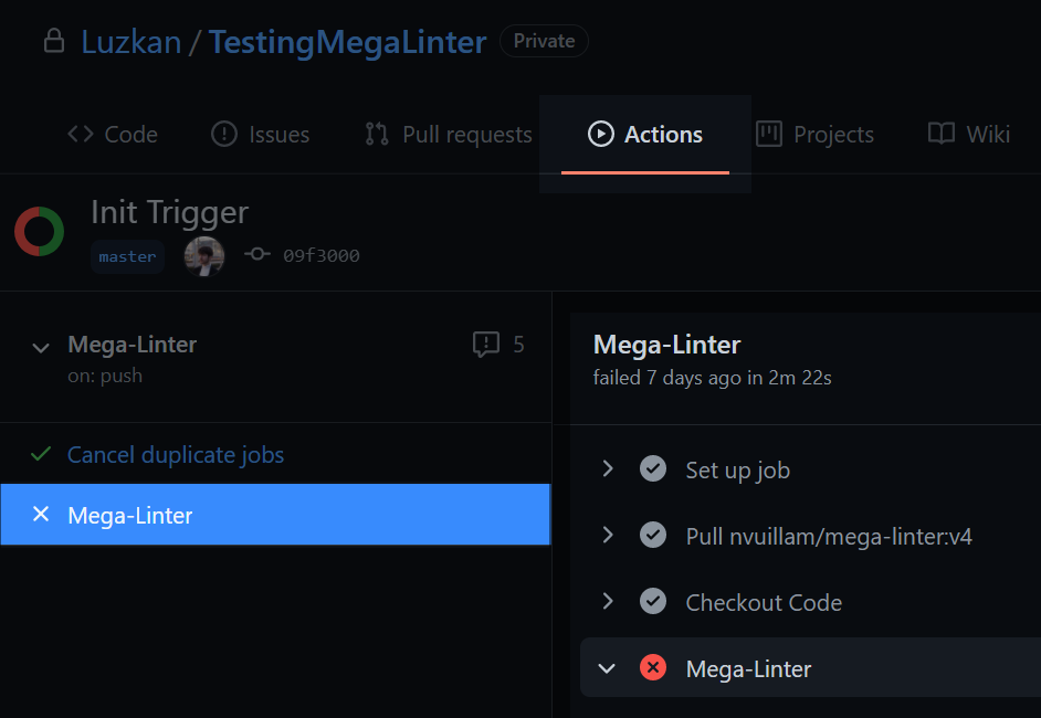 Mega Linter Job visible through GitHub CI