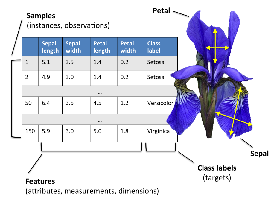 Iris Dataset