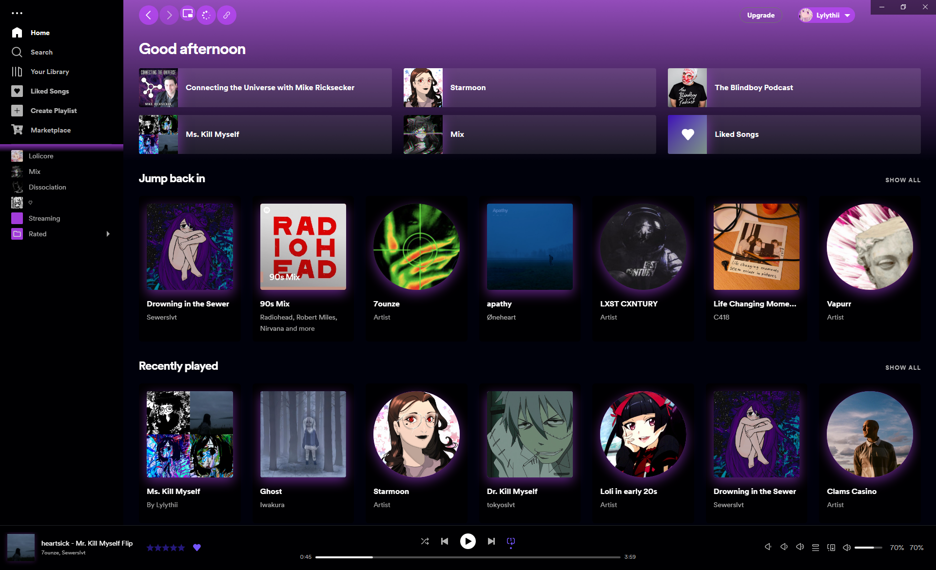 Spotify Spicetify Theme 0