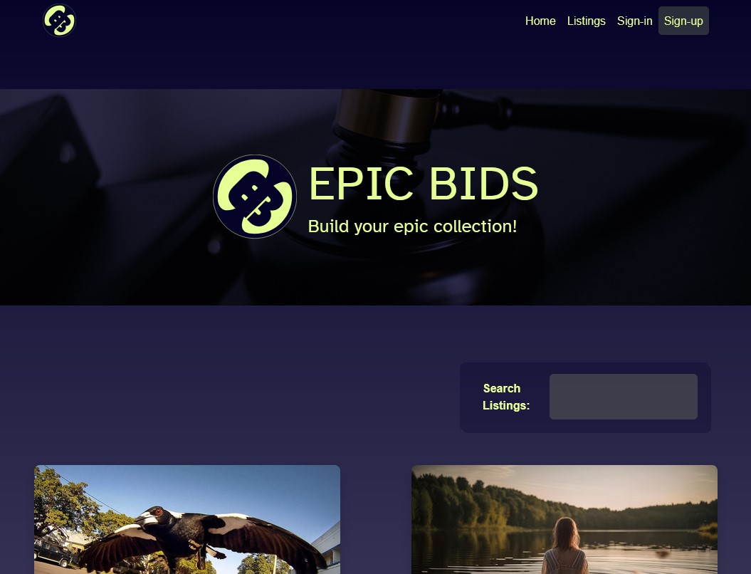 Image of Epic Bids