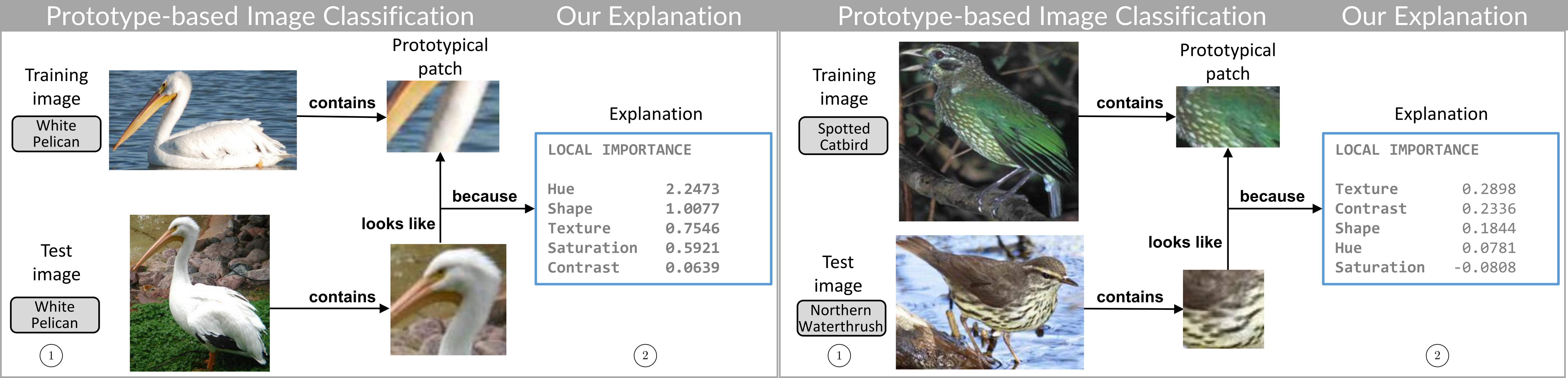Overview of explaining prototypical learning for image recognition.
