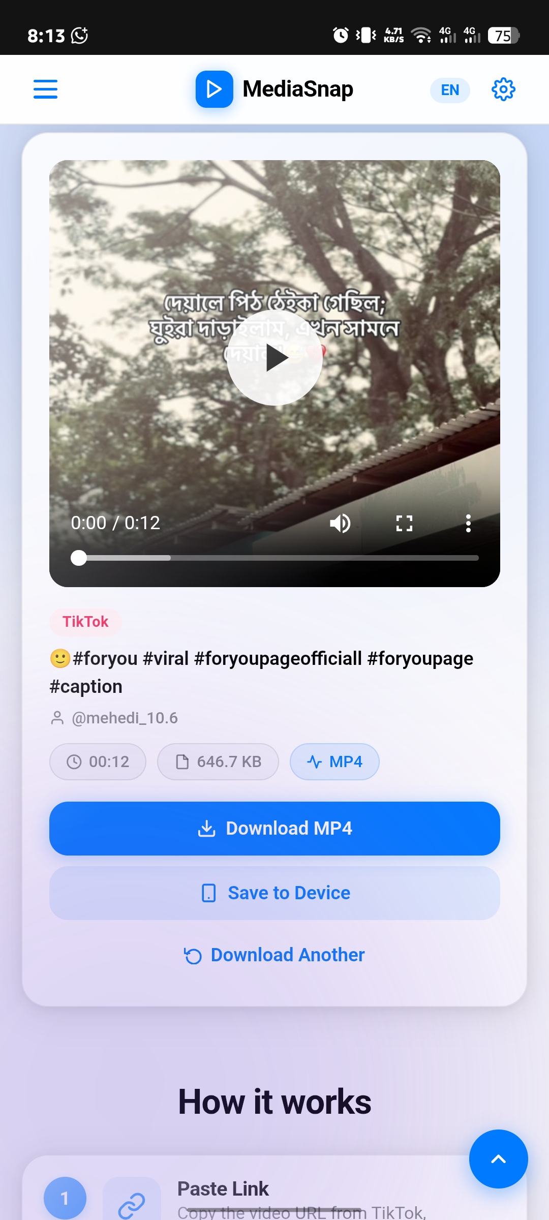 TikTok Result