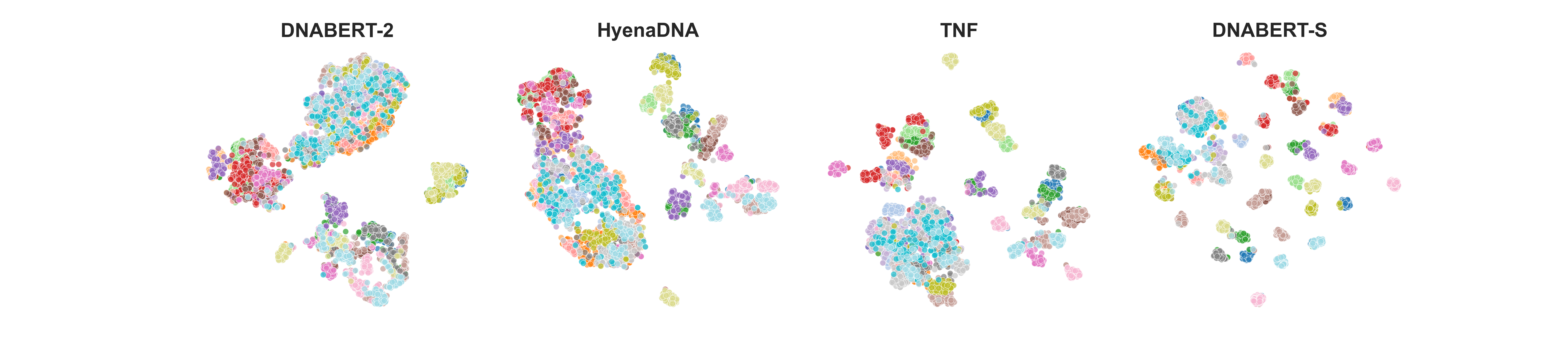 embedding_visualization