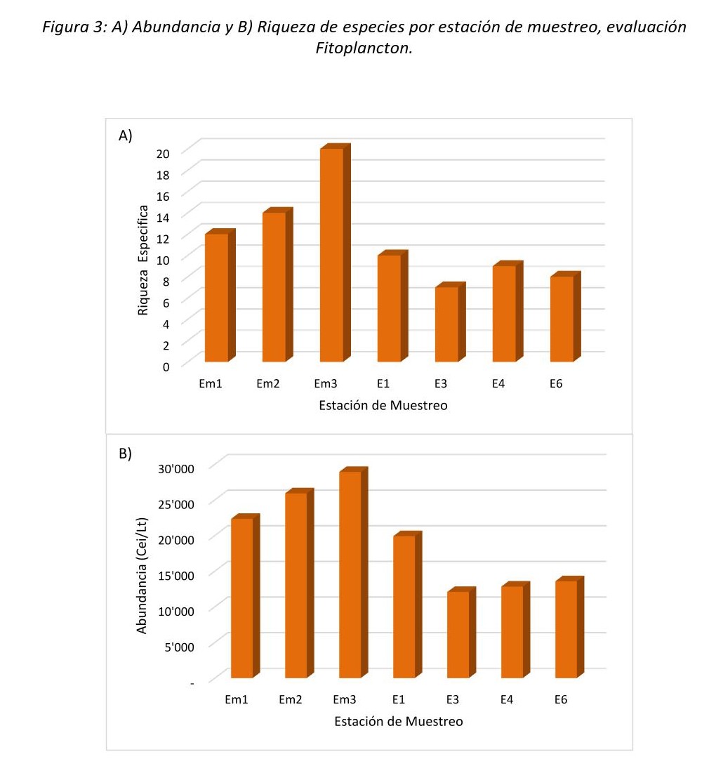 Phytoplankton Analysis