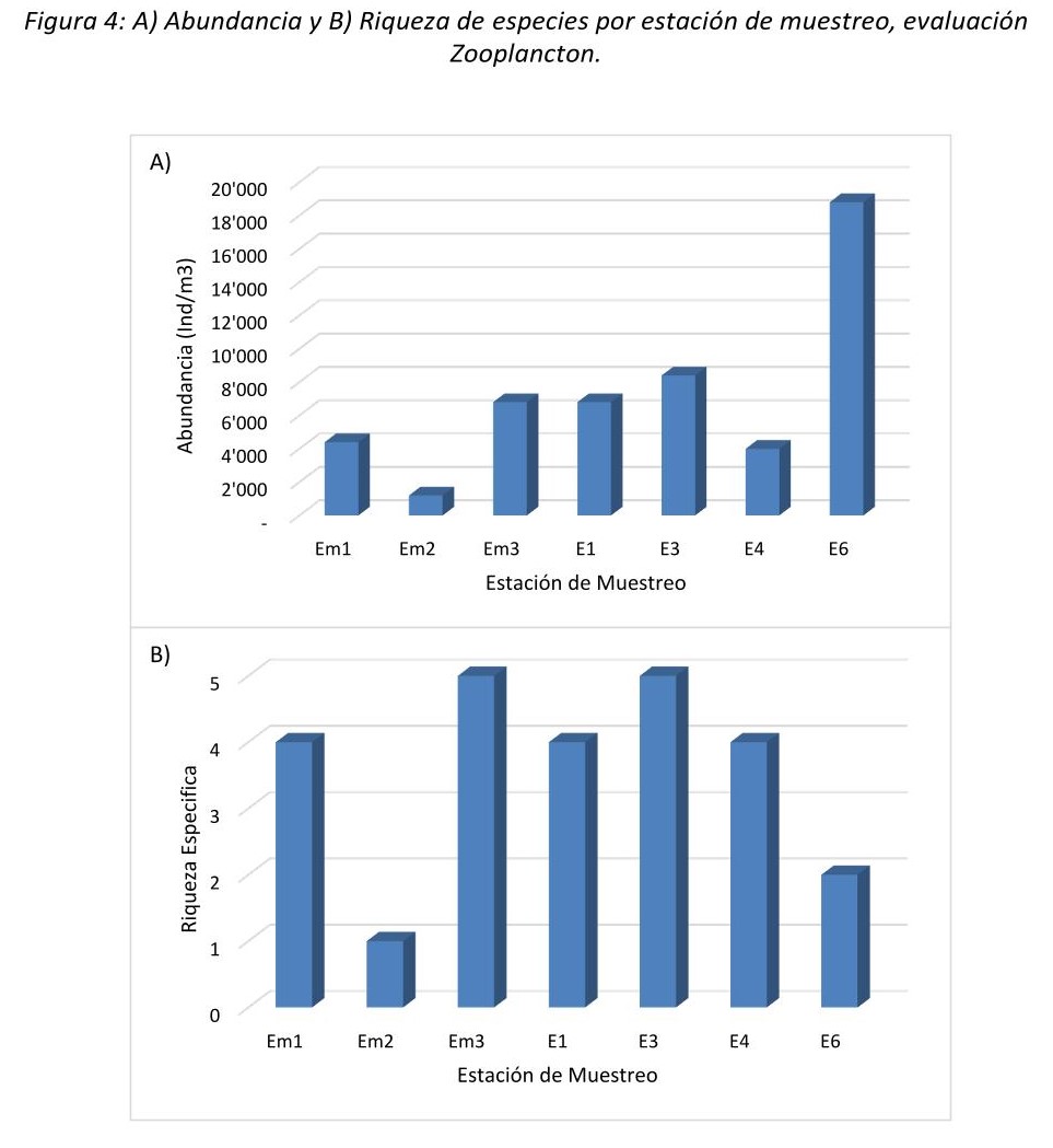 Zooplankton Analysis