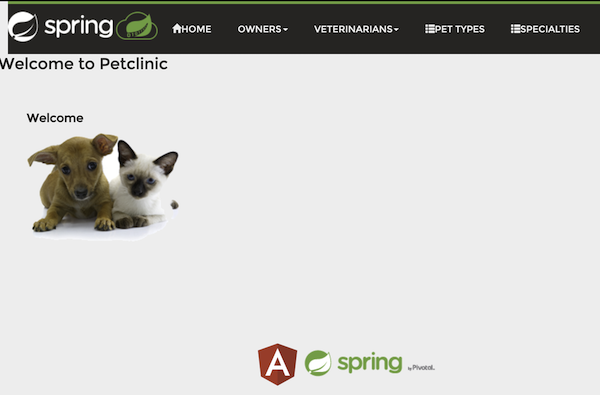 Pet Clinic Welcome Screen