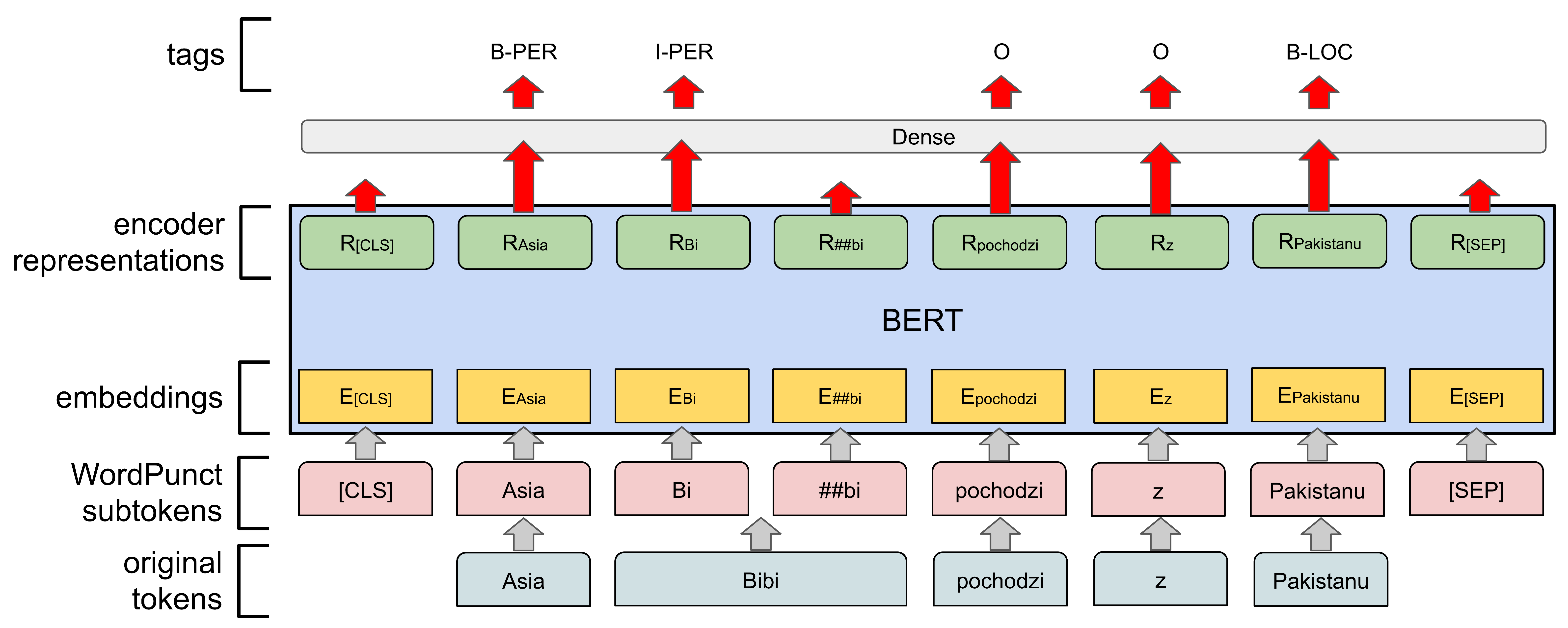 BERT NER diagram