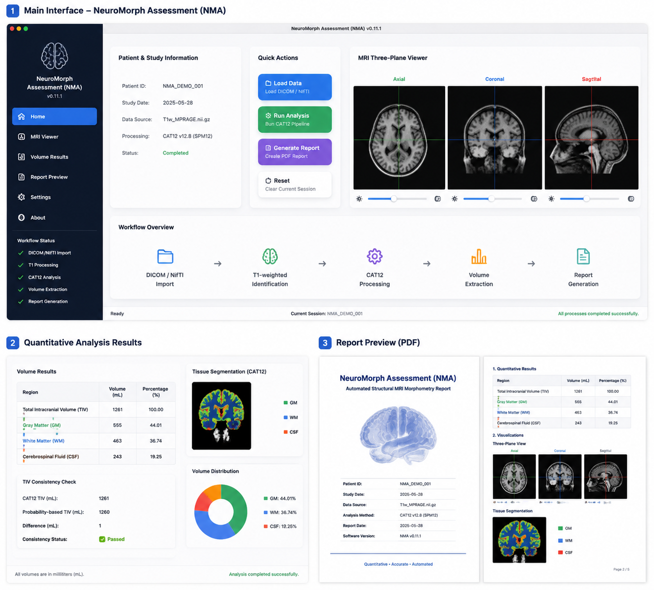 NeuroMorph Assessment Overview