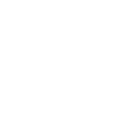 Shows a black knight in light color mode and a white knight one in dark color mode.