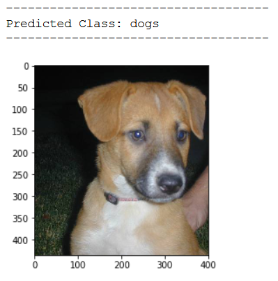 test_prediction3