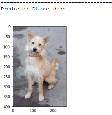 test_prediction4