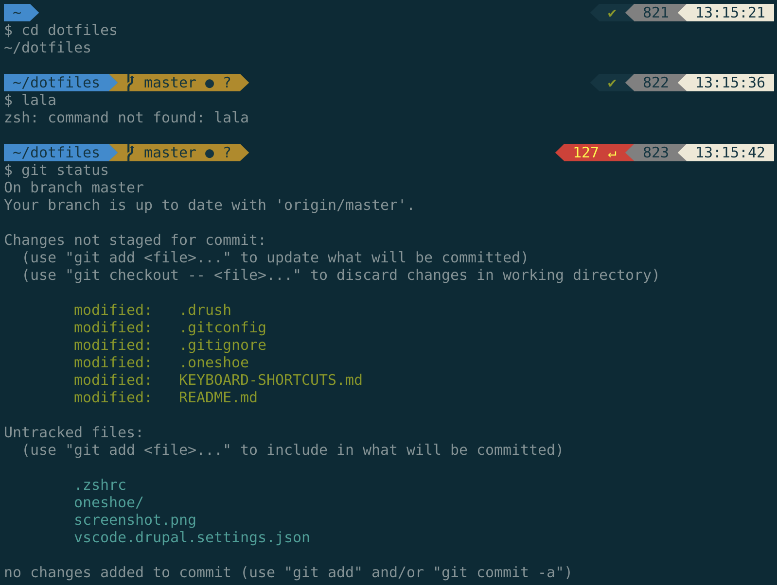 Screenshot of my shell prompt