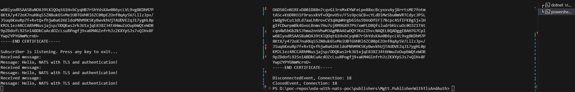 pub-sub-messaging-with-nats-tls-and-auth-example