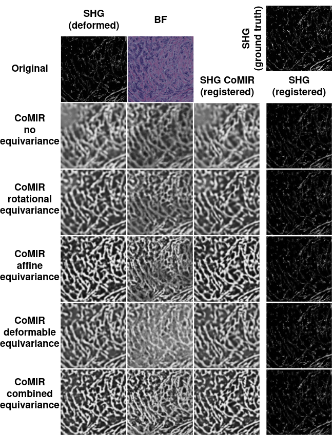 Histological registration example 1