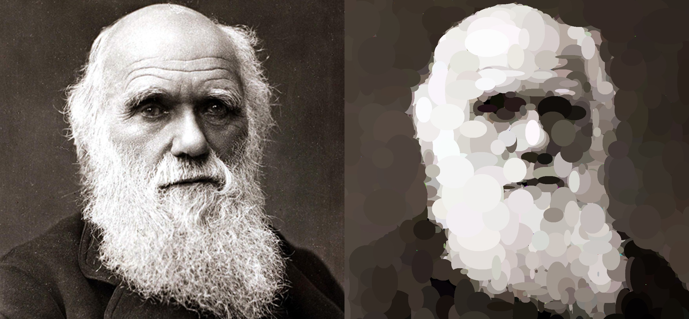 Darwin after 3 000 026 generations