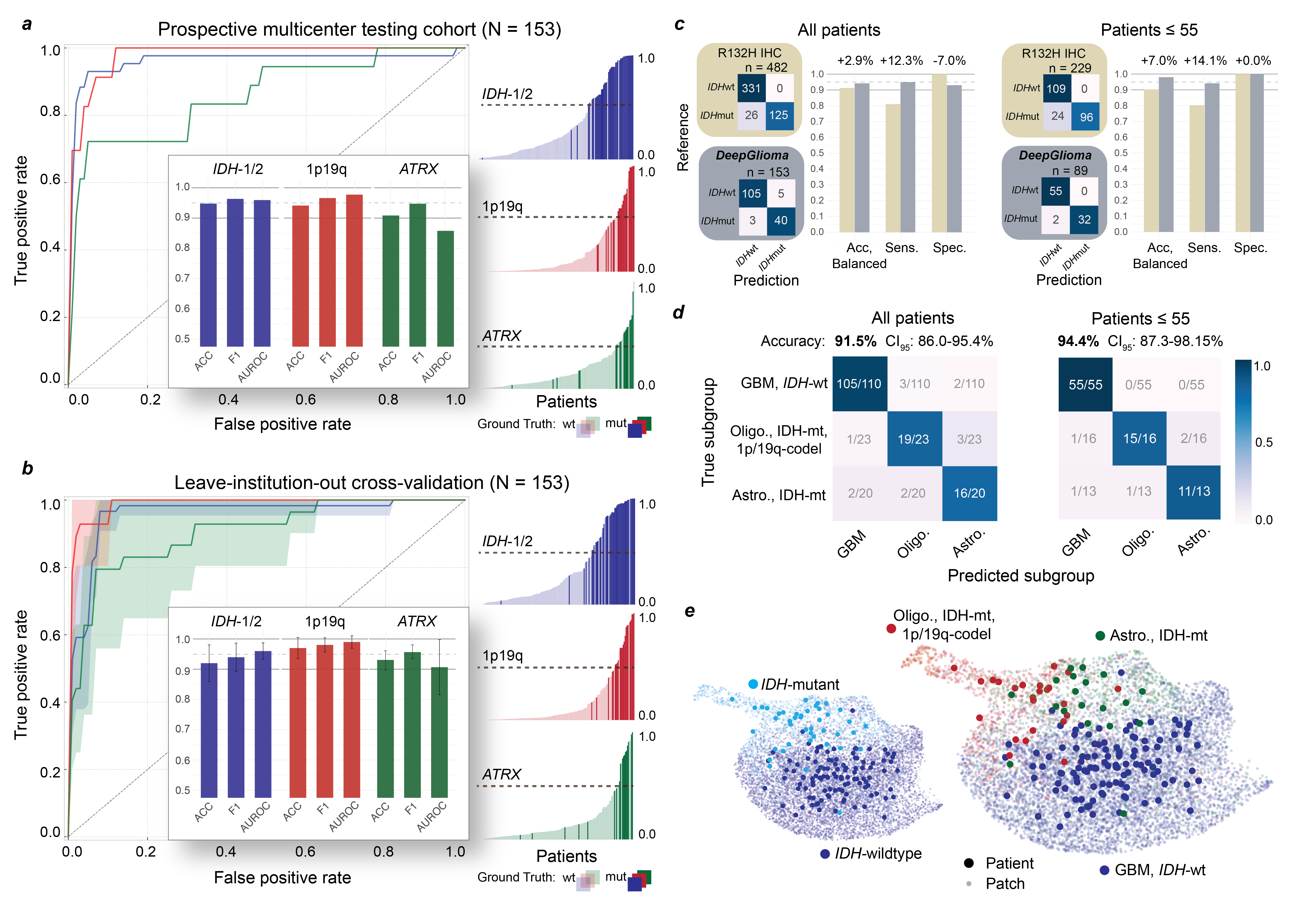 DeepGlioma molecular classification performance across the prospective testing cohort