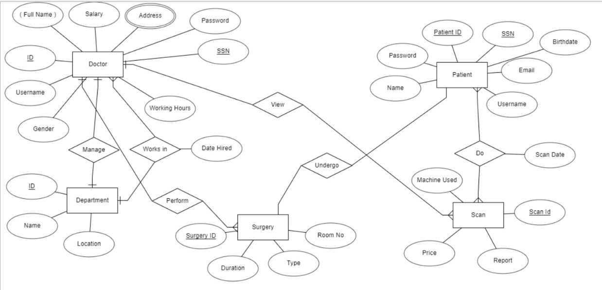 Entity Relationship Model