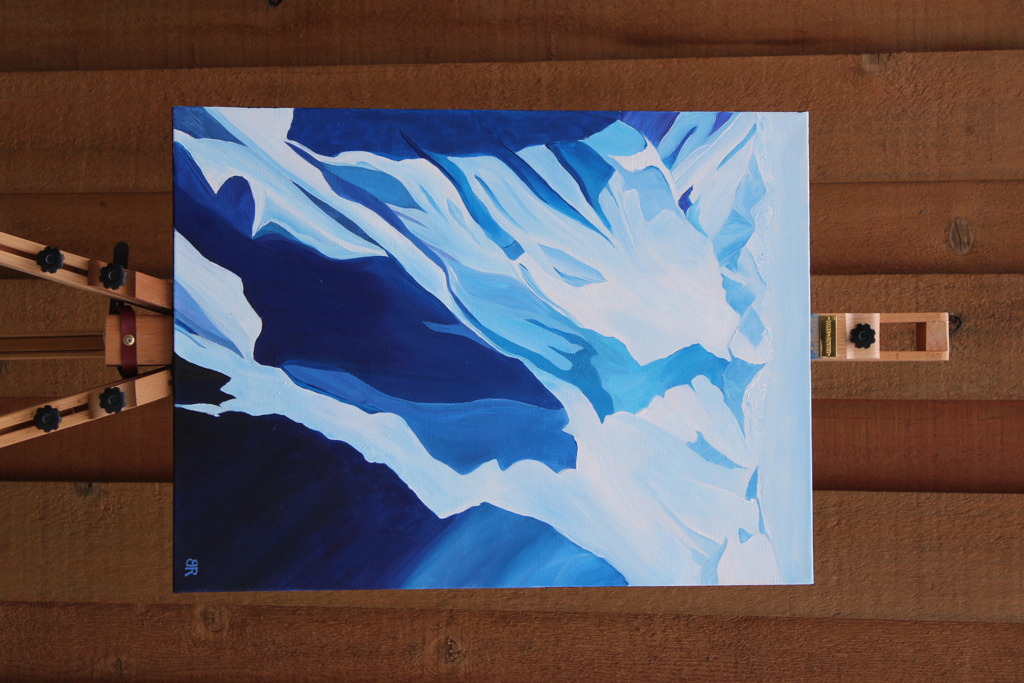 Above the Monashees