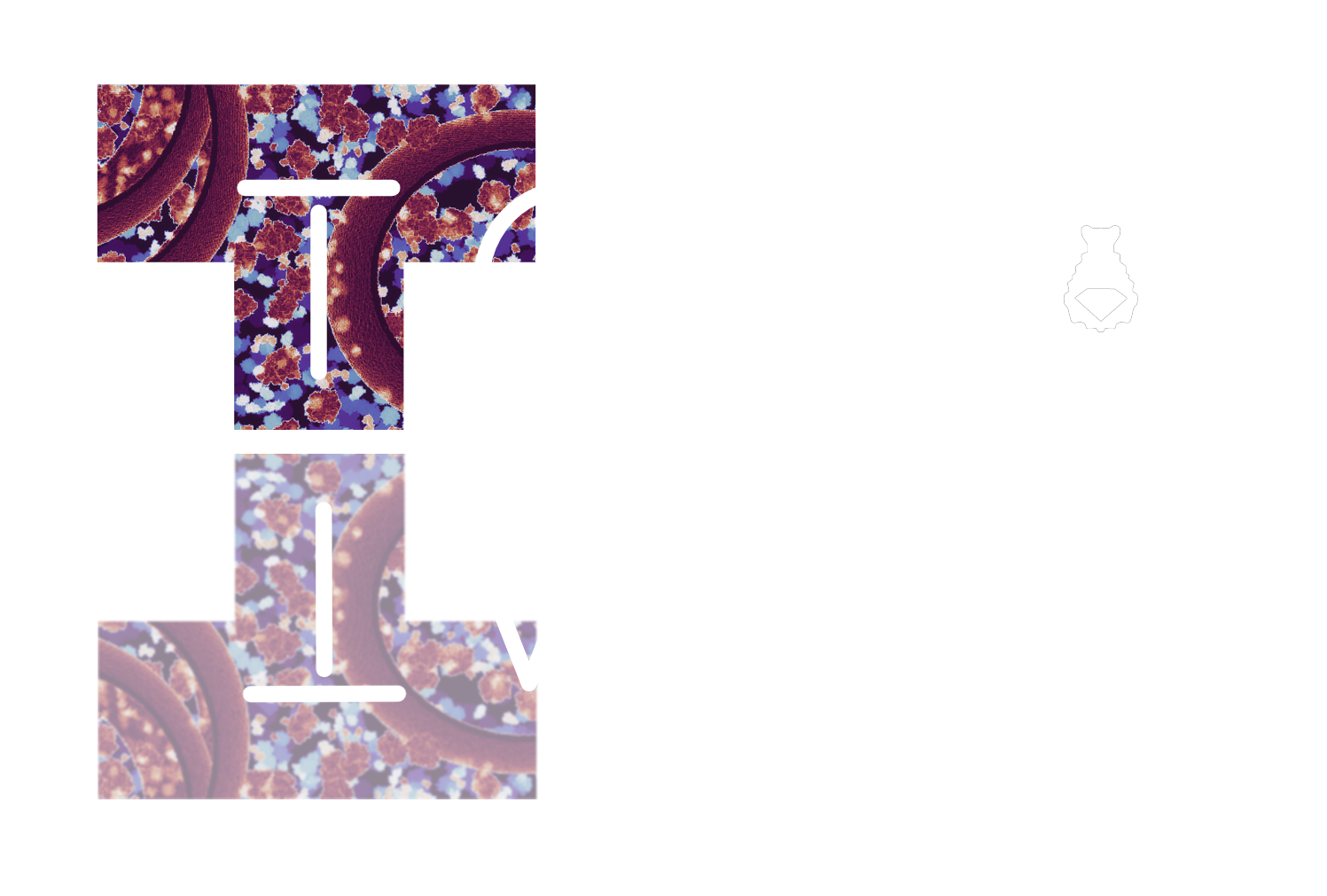 TomoTwin Logo