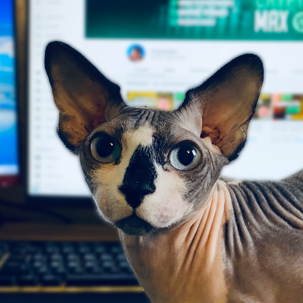 MRSL Token