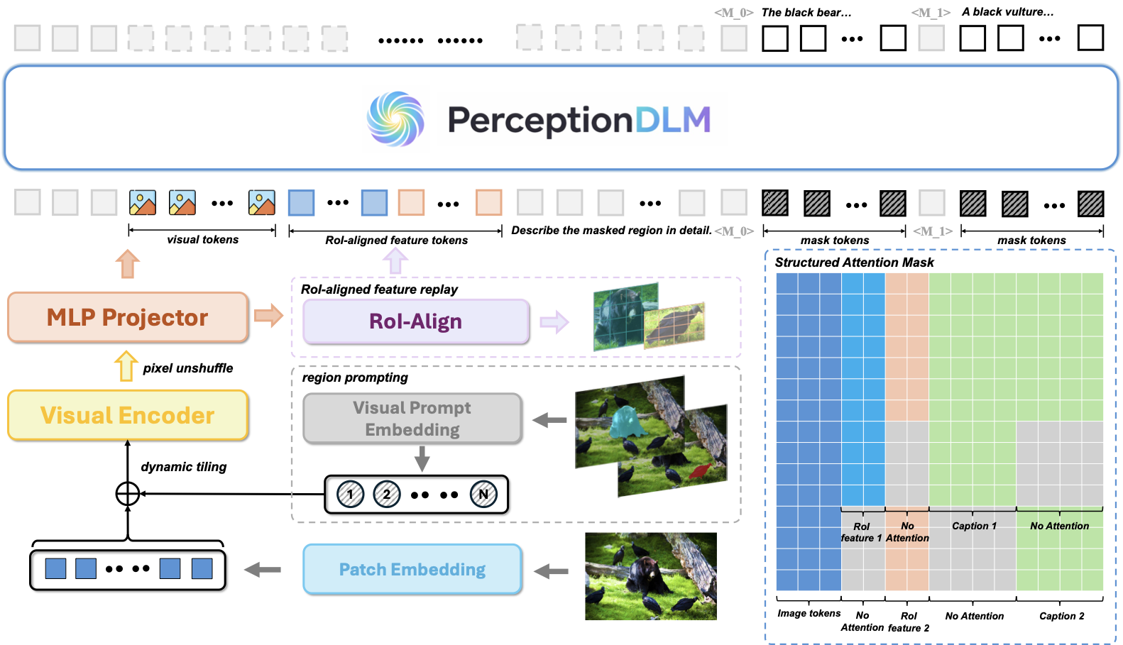 PerceptionDLM architecture