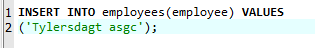 Program screenshot showing the wrong data being put into the database showcasing step #1 of the delete query.