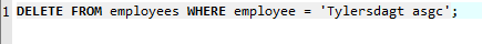 Program screenshot showing the delete query being ran showcasing step #2 of the delete query