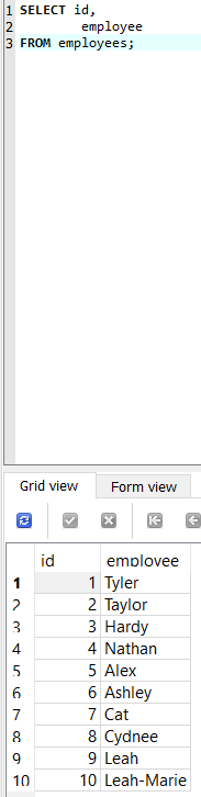 Program screenshot showing the result of the delete query being ran showcasing step #3 of the delete query.