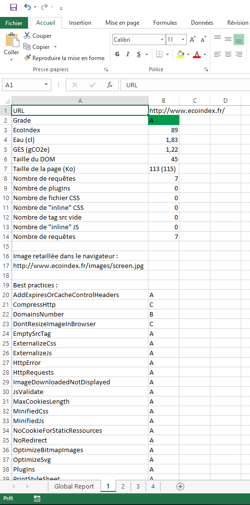 Onglet d'une URL analysée dans le rapport Excel