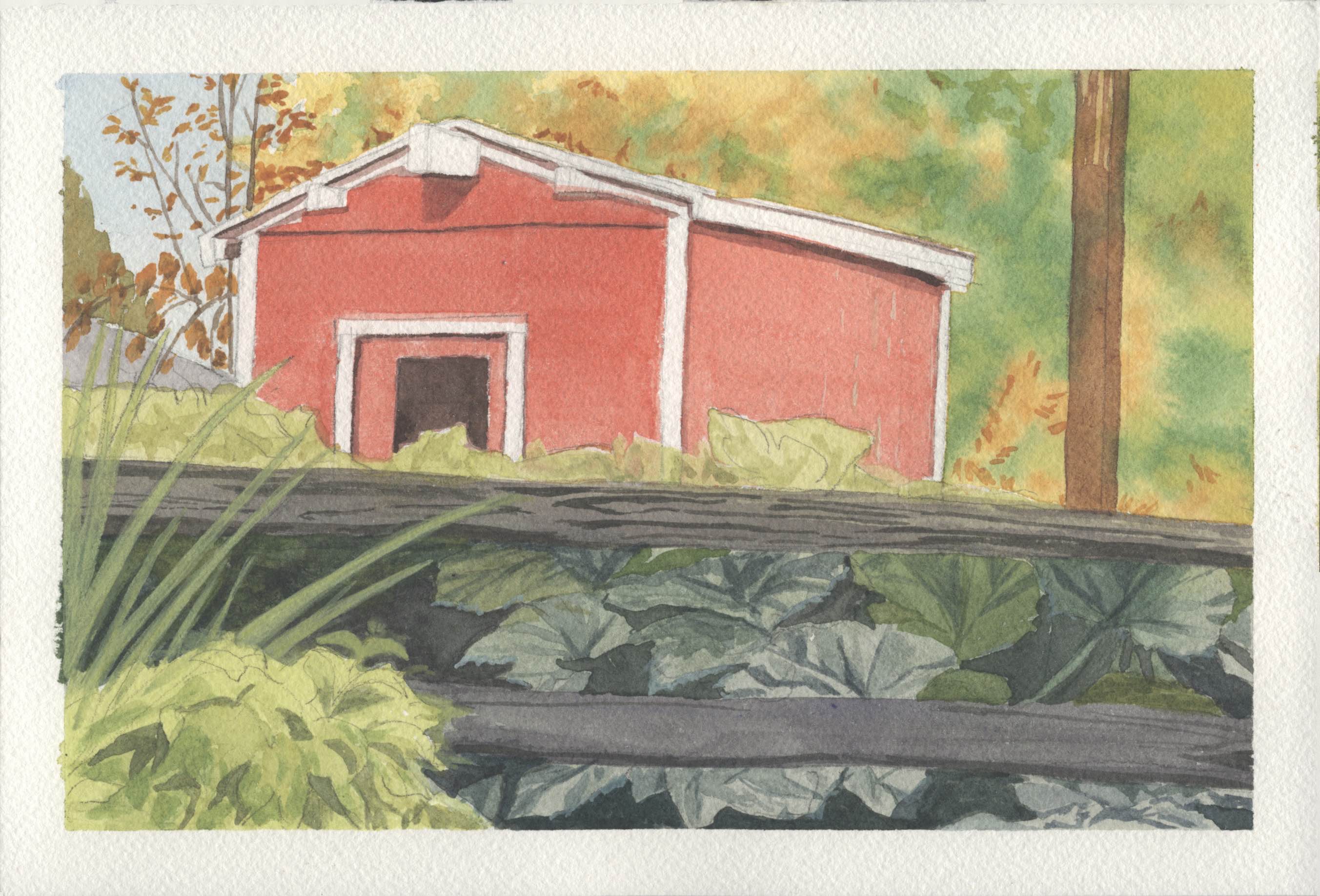 Week 4-5