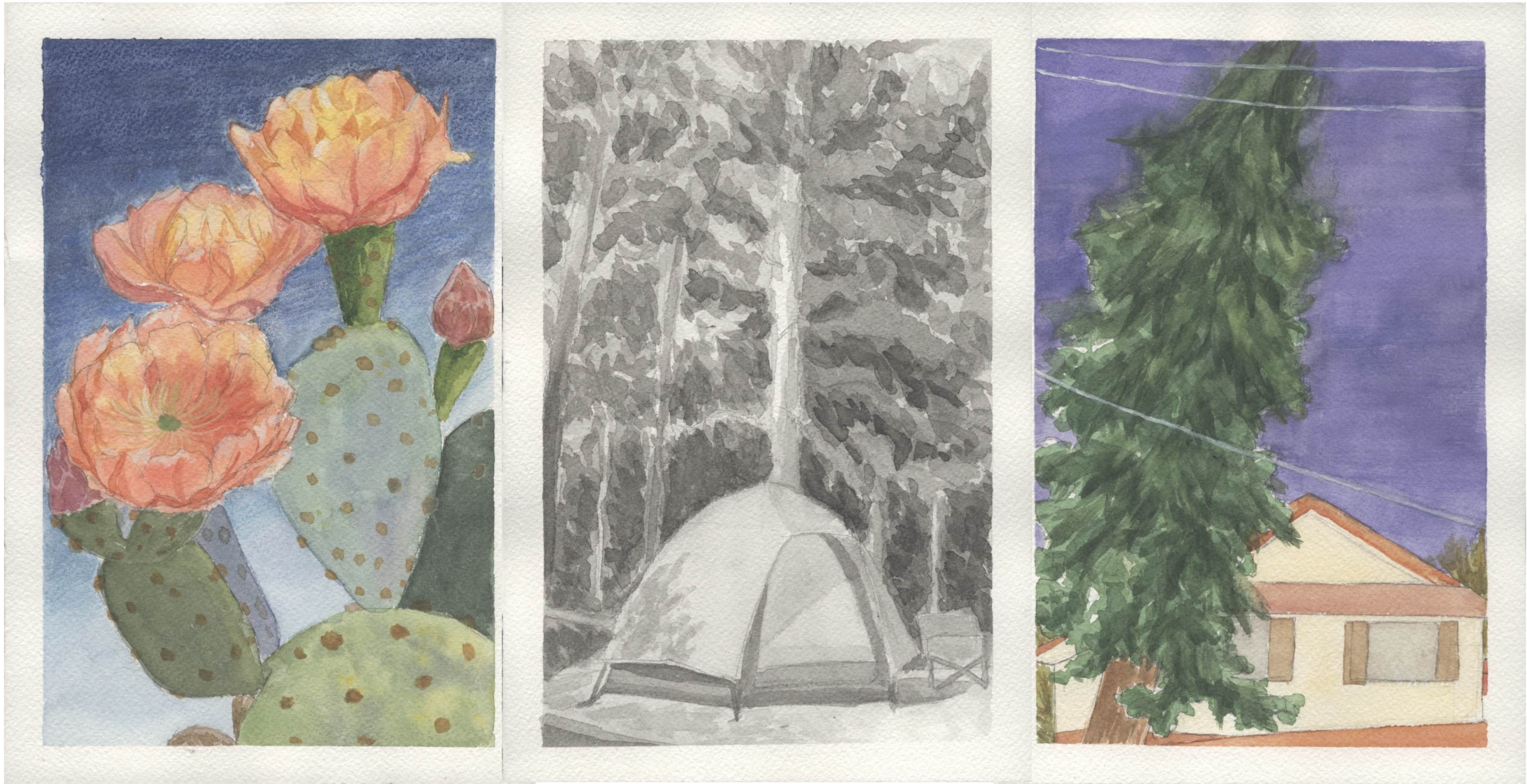 Week 1-3
