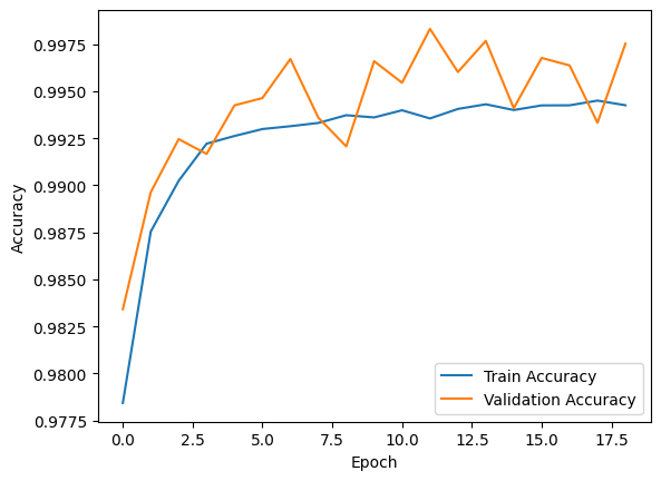 Neural Network Training