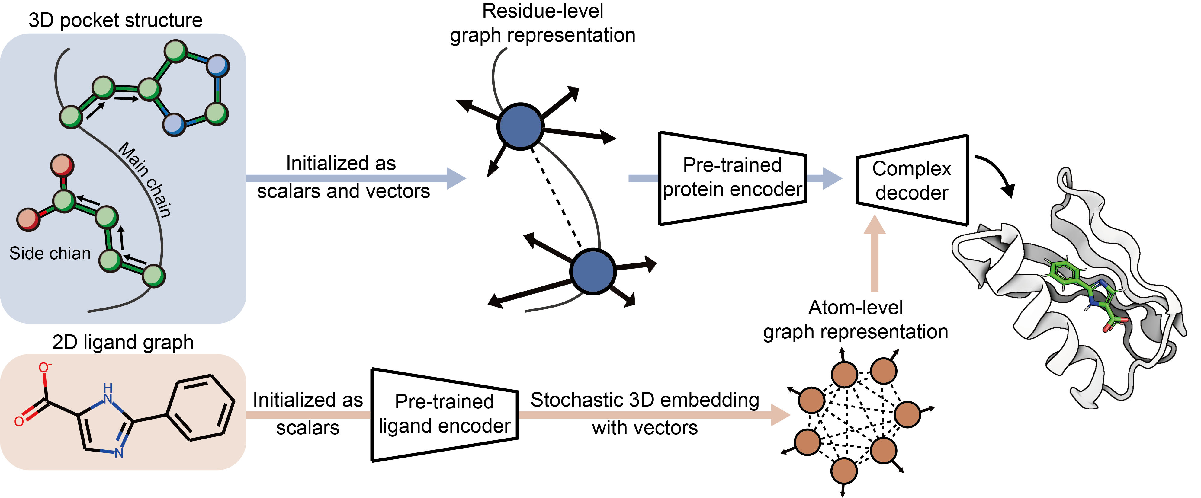 Fig1_b