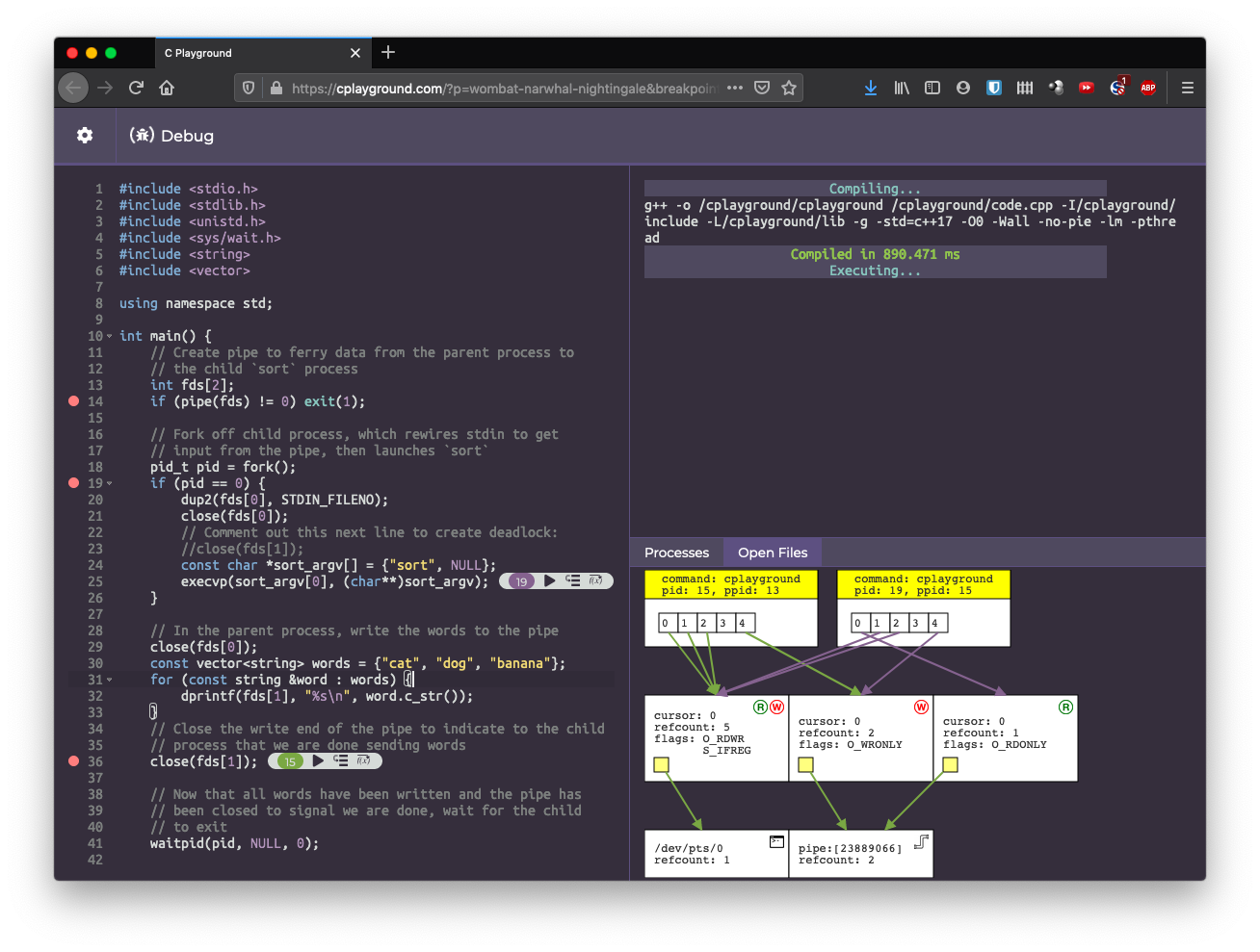 Screenshot of example file descriptor diagram generated by the C Playground debugger