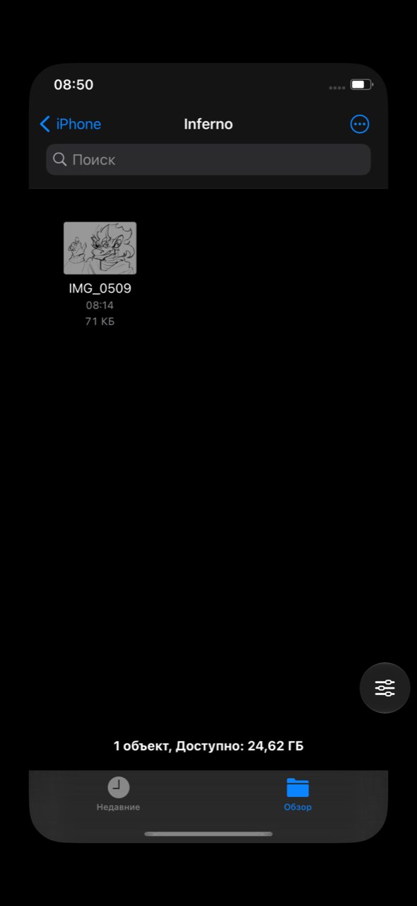 A file sent from the host phone, in the guest's Files app