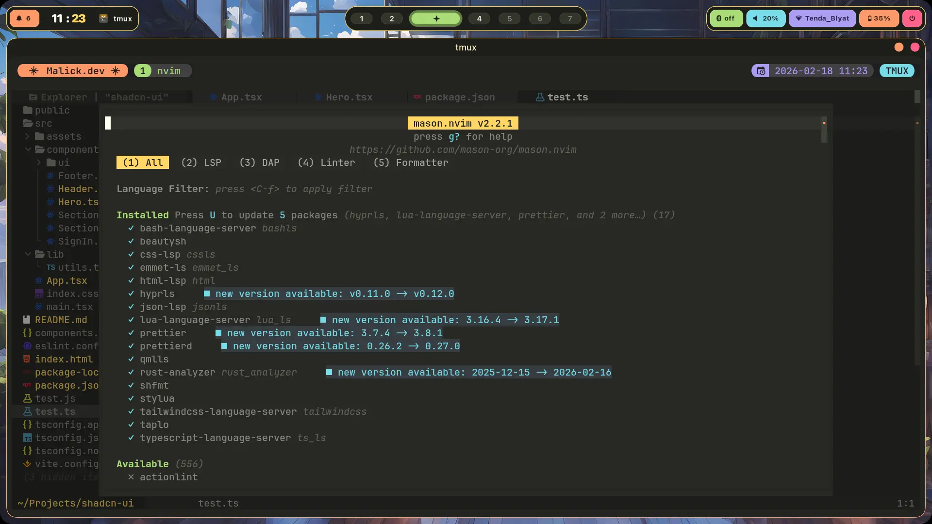 Neovim mason