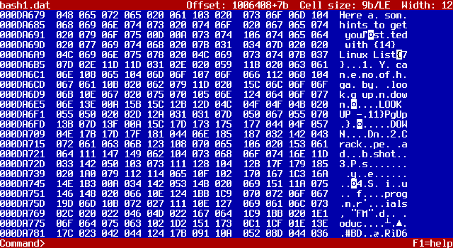 Screenshot of hex view showing 9-bit bytes