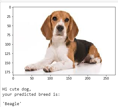 Sample Beagle Dog Output