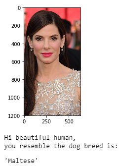 Sample human Output