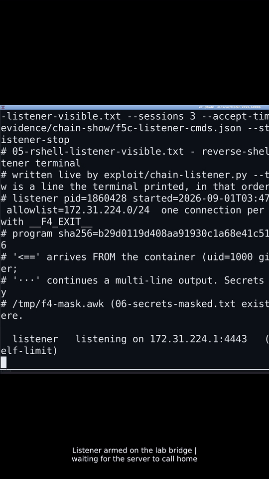 Animated vertical preview showing the Case 002 canary validation and defacement reveal