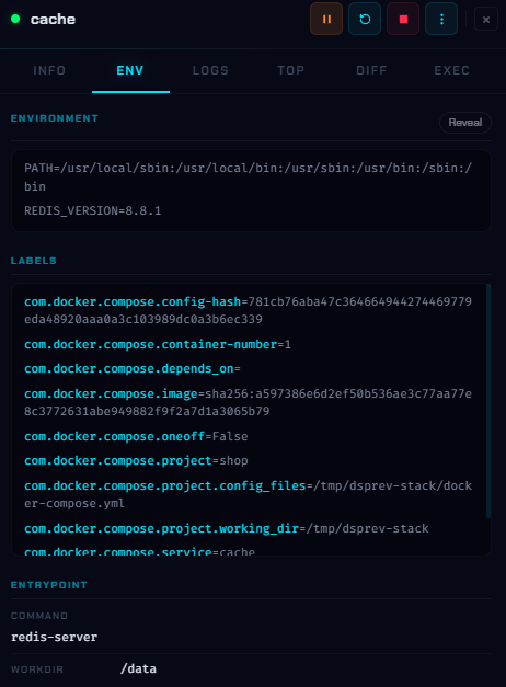 Env tab with environment variables and Compose labels