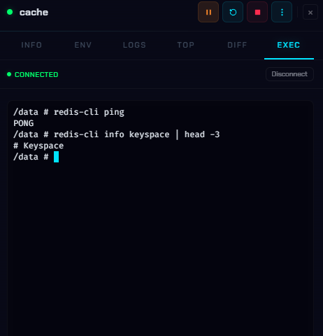 Exec tab with an interactive shell running redis-cli