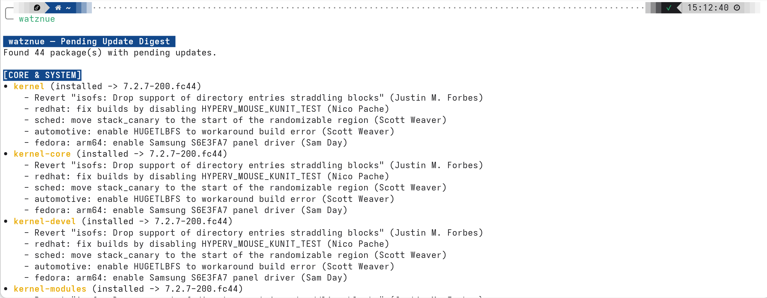 Watznue CLI output showing categorized pending updates