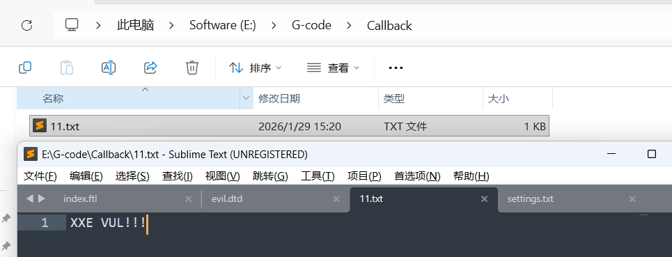 image-20260129164818790