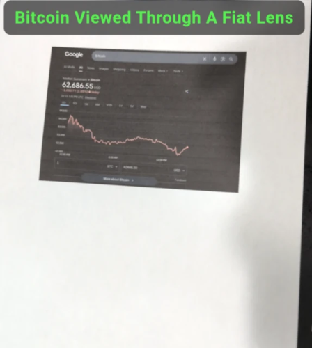 Google search result for Bitcoin showing only a price chart in USD