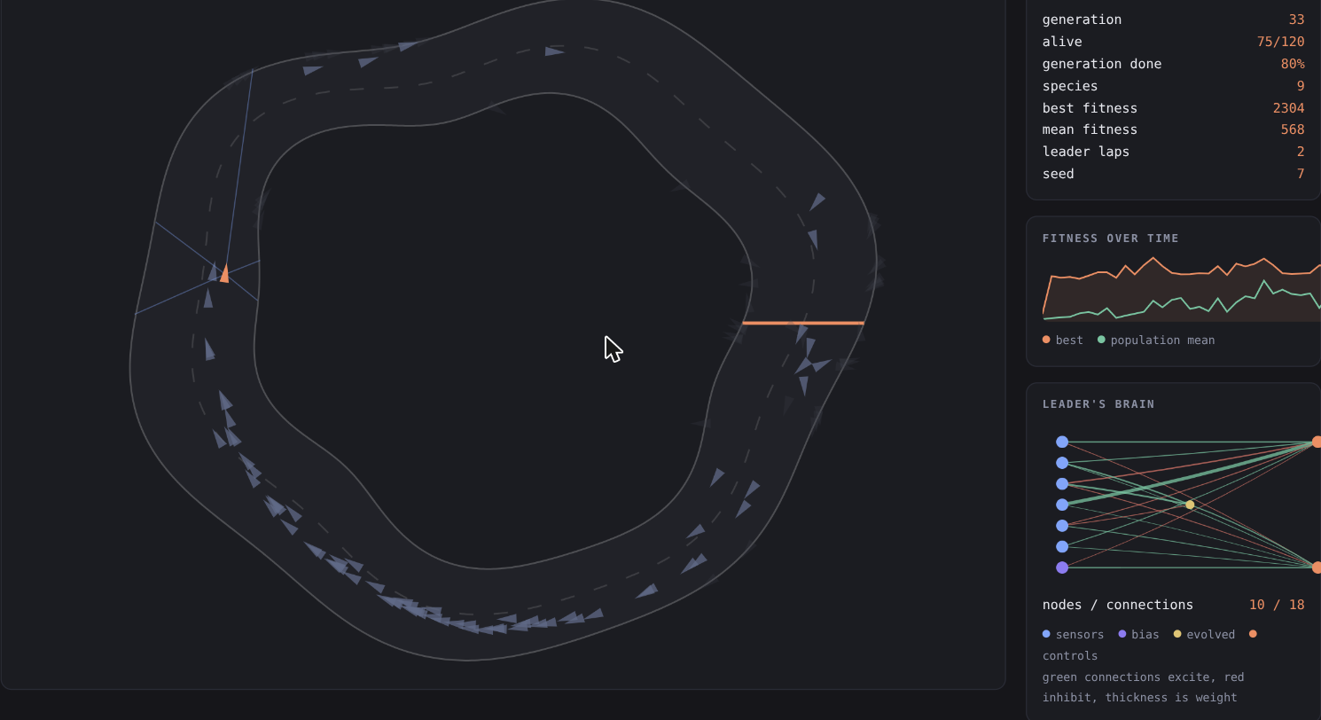 Cars evolving a neural network to drive