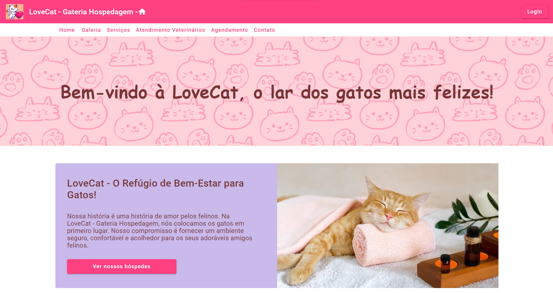 imagem do site pronto no vercel