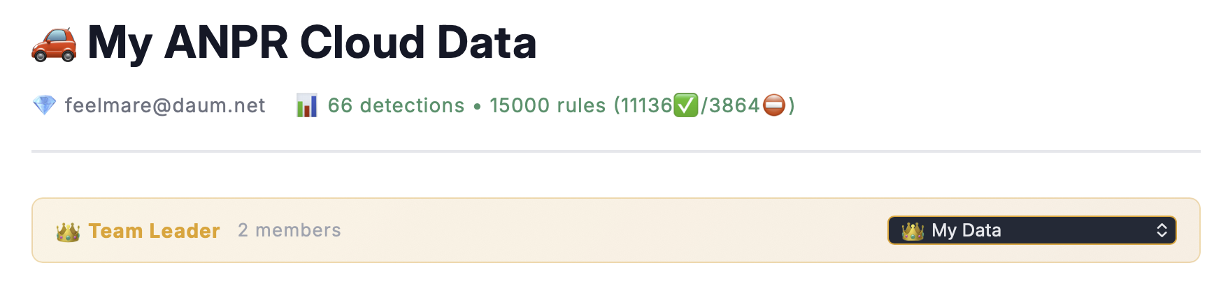Team Leader Web Dashboard