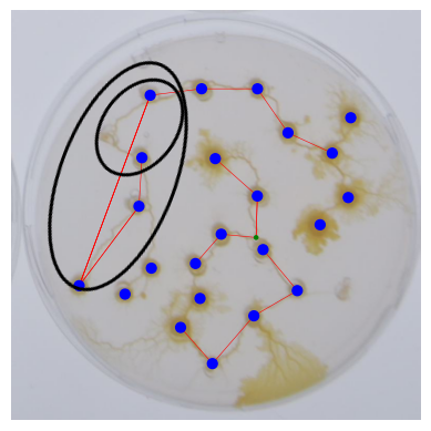 Erreur detection lien