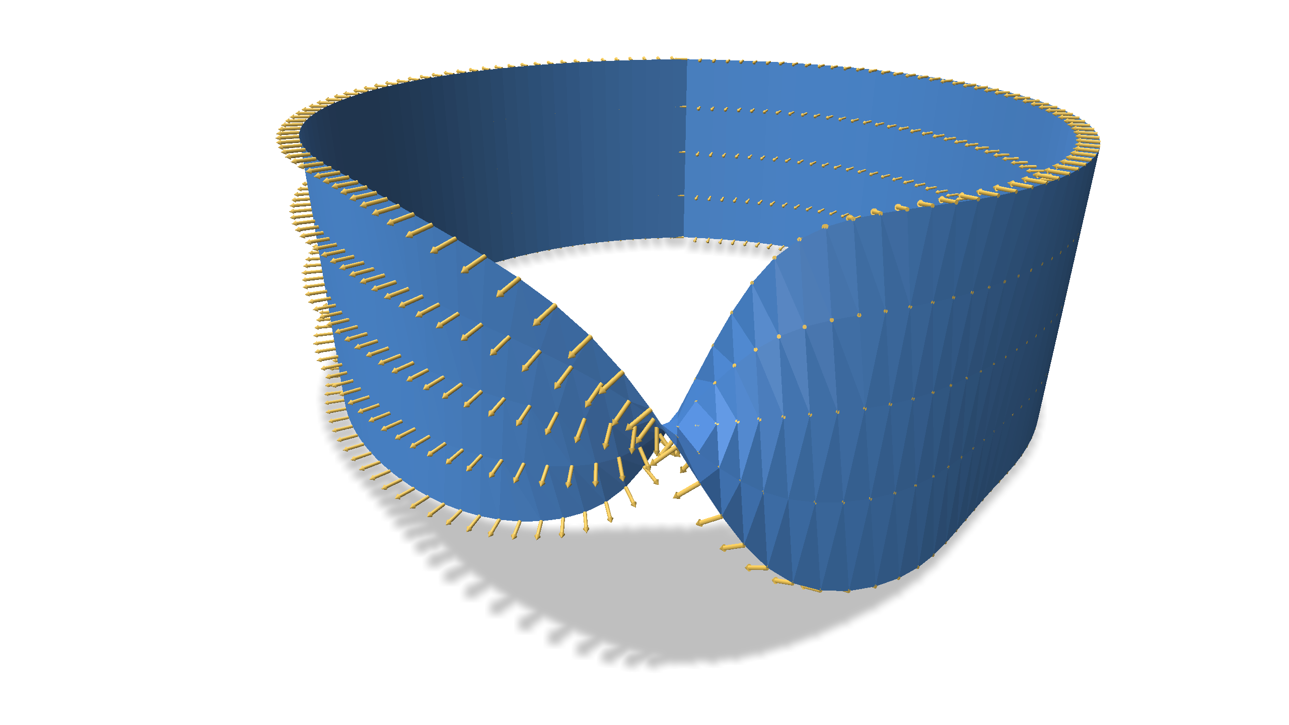 Nonorientable mobius strip